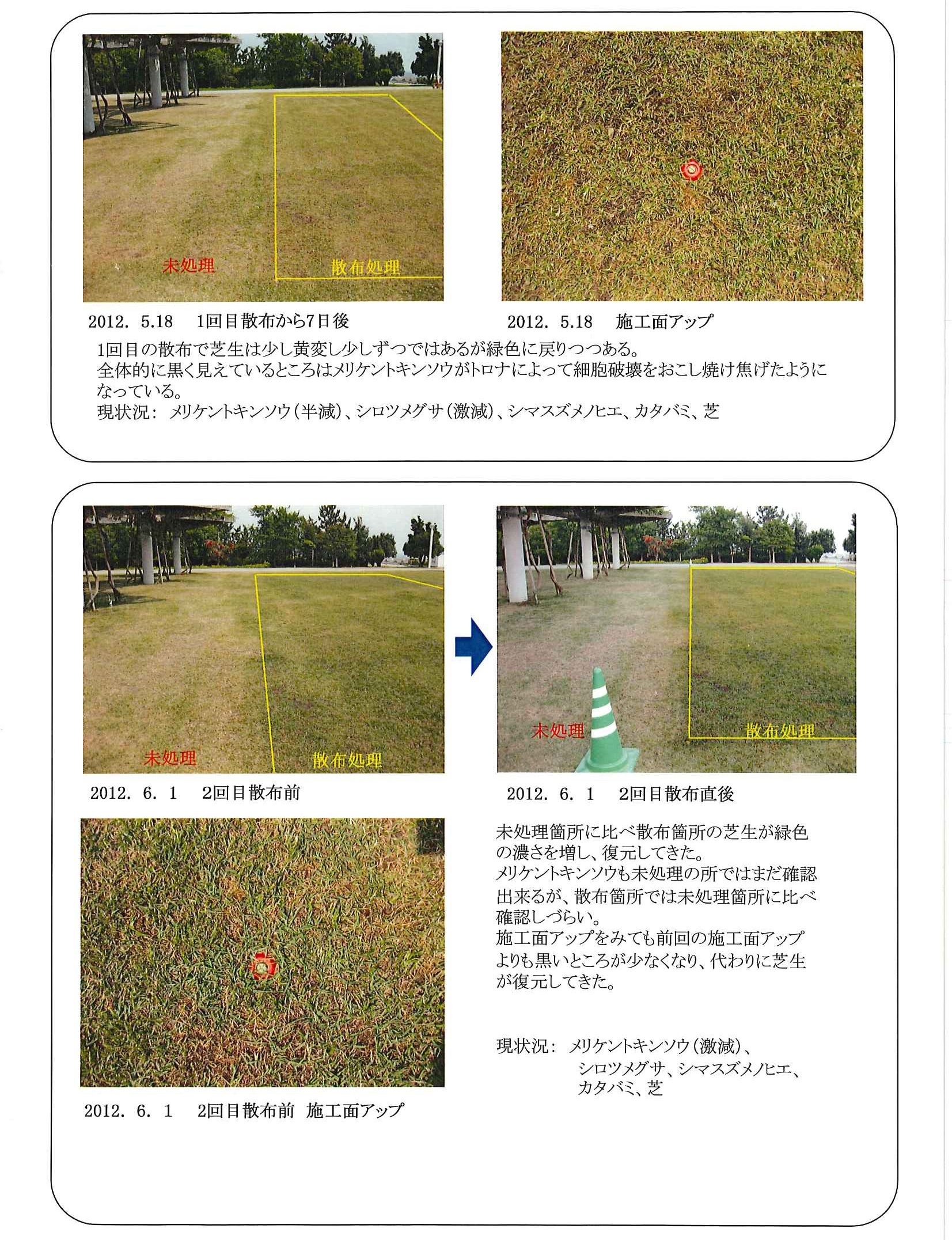 芝生地（１－２画像